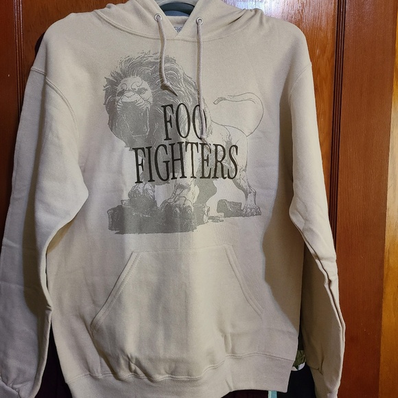 Official Foo Fighters Hoodie Unisex (Size Small) - Picture 1 of 4